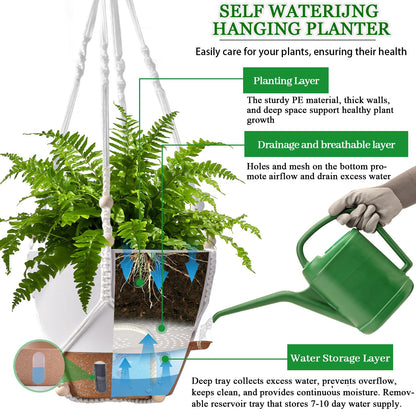 10 Inch Hanging Planters for Indoor Plants & Outdoor - 2 Pack Self-Watering Hanging Pots with Drainage Holes, Visual Reservoir, 2 Hangers - Self-Watering Hanging Baskets Flower Pots
