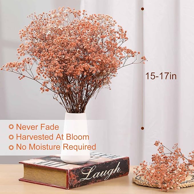 Babys Breath Dried Flowers Bouquet-17'' 2500+ Ivory Dry Flowers, Natural Gypsophila Branches for Wedding, Home Table Vase Decor, DIY Wreath Floral, Fall Thanksgiving Autumn Decoration (Brown, 3oz)