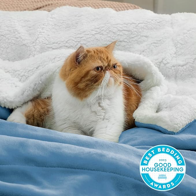 Bedsure GentleSoft Sherpa Fleece Throw Blanket for Couch - Thick and Warm Throw for Men, Soft Fuzzy Plush Blanket for Winter, Washed Blue, 50x60 Inches