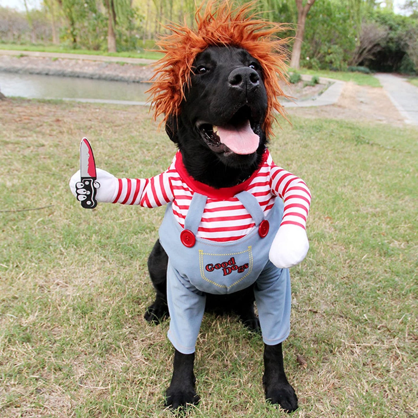 Pet Deadly Dog Costume, Cute Dog Cosplay Halloween Christmas Funny Pet Clothes Party Costume for Small Medium and Large Dogs (Small)