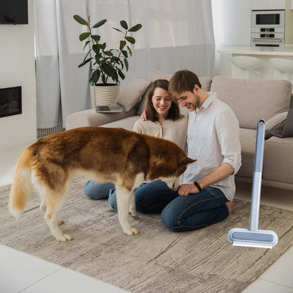 FeiFanYiGou Pet Hair Remover, 4 in1 Cat and Dog Hair Removal for Couch with Extra Long Handle, 17-Inch, Cat Fur Removal Tool for Furniture, Carpet, Clothes, Bedding, Tile, Hardwood Floor, Car, Window