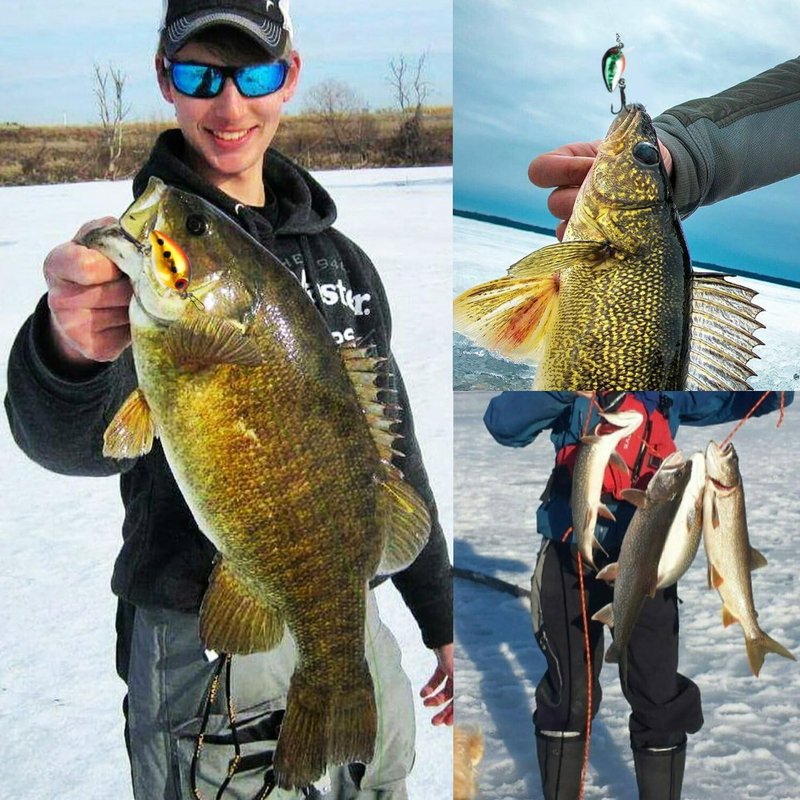 Sougayilang Fishing Lures - Life-Like Minnow VIB Bait with Treble Hook | Sinking Crankbait for Bass, Trout, Walleye