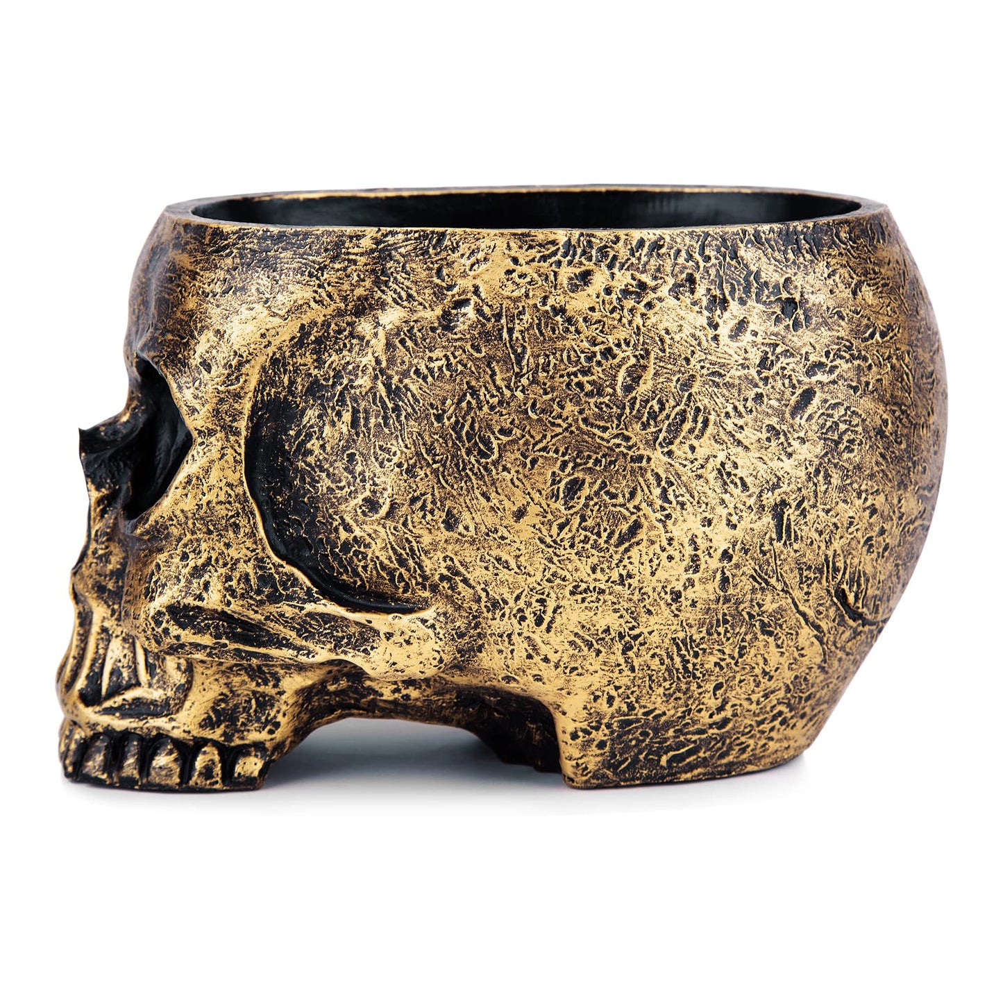 Skull planter , Resin Skull Head Flower Succulent Cactus Planter Pots , Small Object Containers Keys Sugar Candy Bowl , for Home Office Desk Decorations Halloween Scene Statue Sculpture Decorations
