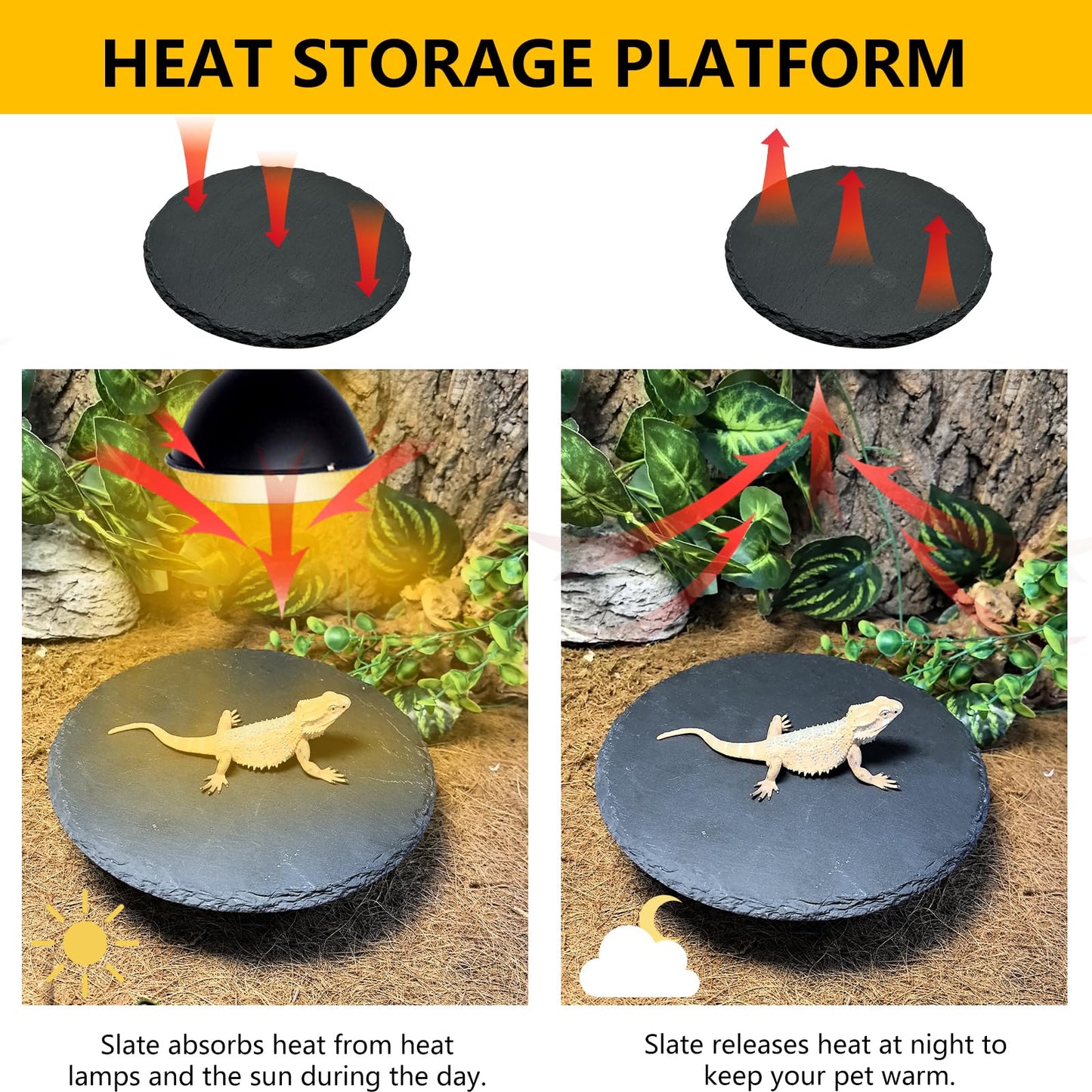 Tfwadmx Reptile Basking Platform,7.8IN Tortoise Rock Slate Plate Feeding Food Bowl Dish Turtle Bathing Resting Terrace for Lizard Bearded Dragon Chameleon Gecko Snake Frog Newt