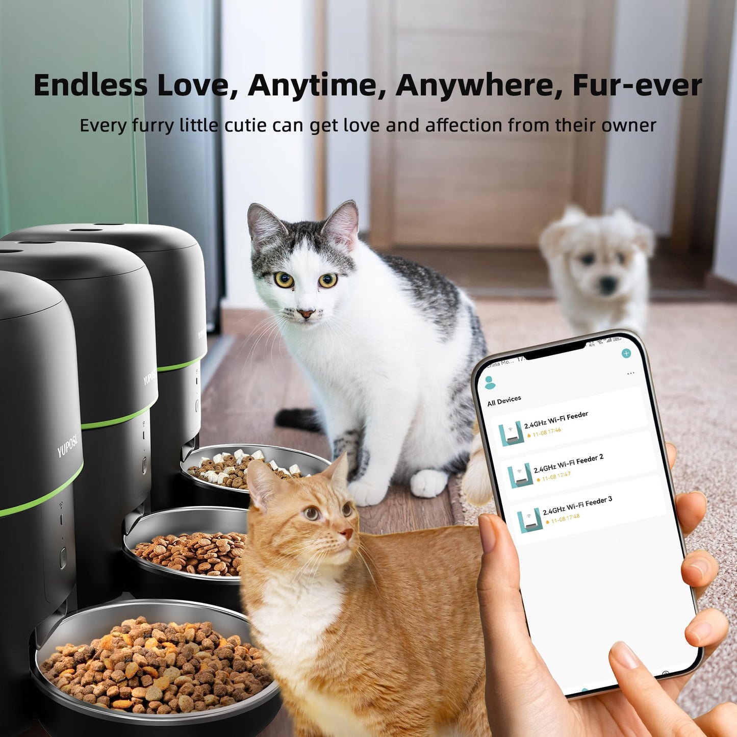 Automatic Cat Feeder, 5G WiFi Cat Food Dispenser with Freshness Preservation, 2L Timed Cat Feeder with APP Remote,15 Meals Per Day, Programmable Portion Size, Auto Pet Feeder Also for Small Dogs