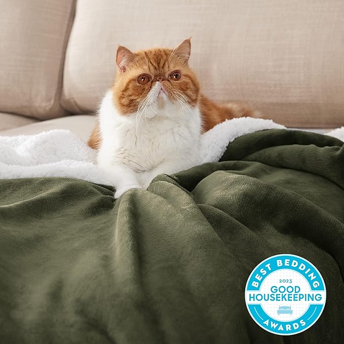 Bedsure GentleSoft Sherpa Fleece Throw Blanket Twin Size for Couch - Thick and Warm Throw for Men, Soft Fuzzy Plush Twin Blanket for Winter, Olive Green, 60x80 Inches