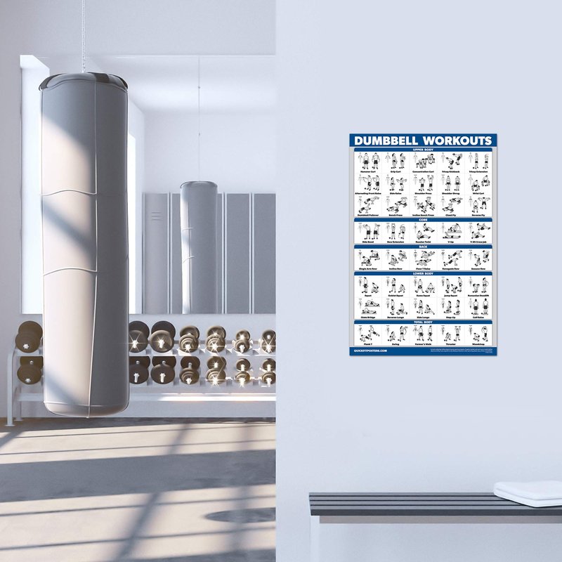 QuickFit 2 Pack Dumbbell Workout Exercise Poster - Volume 1 & 2 - LAMINATED 18" x 24"