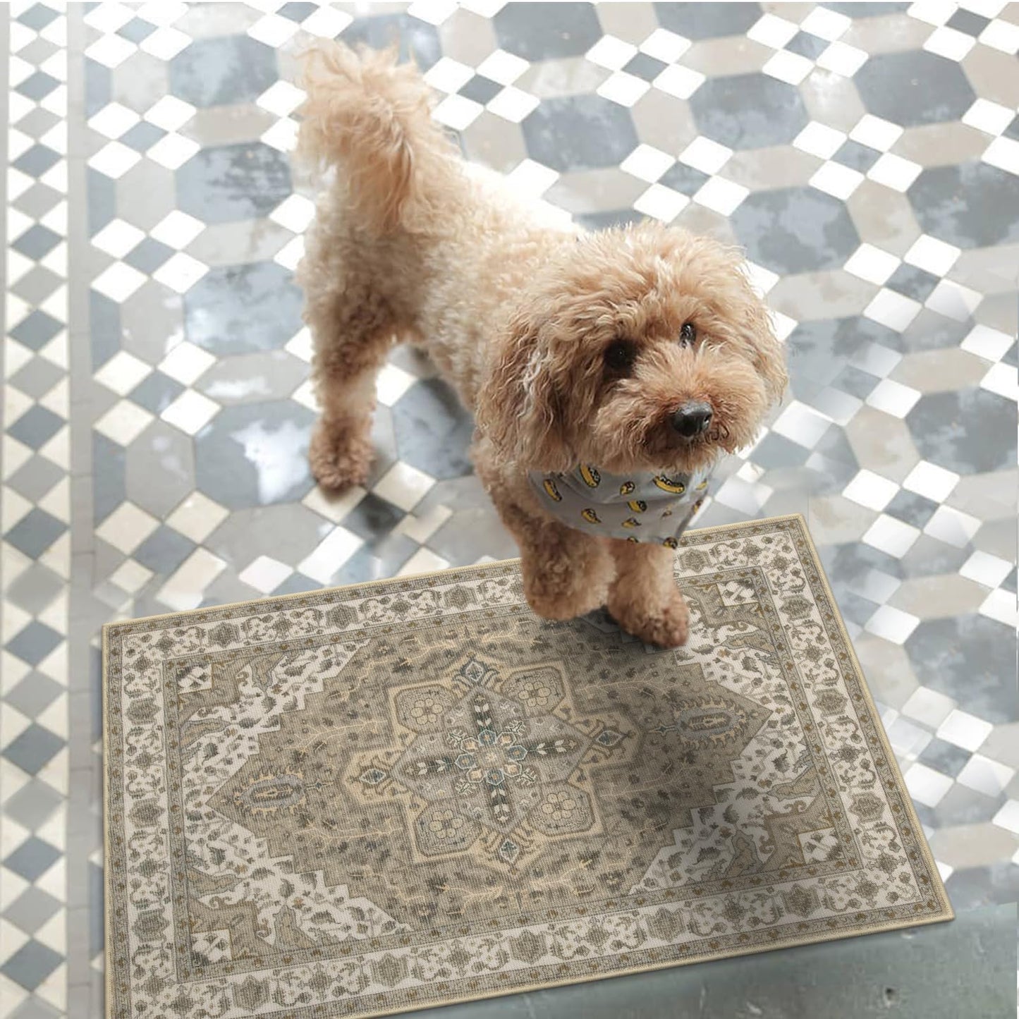 Collive Washable Indoor Doormat, Non Slip Retro Floor Mat 20" x 32" Small Mat Quick Absorbent Entrance Rug Distressed Taupe Front Door Mat, Welcome Mats Entryway Rug Doormats for Kitchen Home Patio