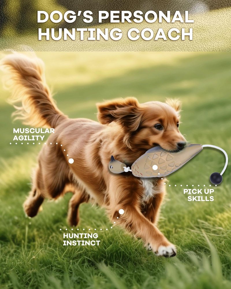 gardmate Dog Bumper for Water Retrieving - Bionic Dove Dog Training Dummy with Floating and Tear - Hunting Dog Toy - Durable Bite-Resistant Toy for Hound Training(Dove)