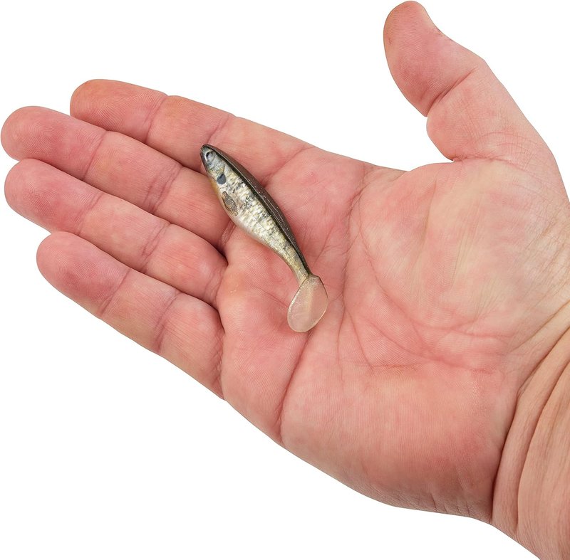 Berkley PowerBait Champ Swimmer Fishing Soft Bait - Realistic Action, 4-Inch, Natural Colors