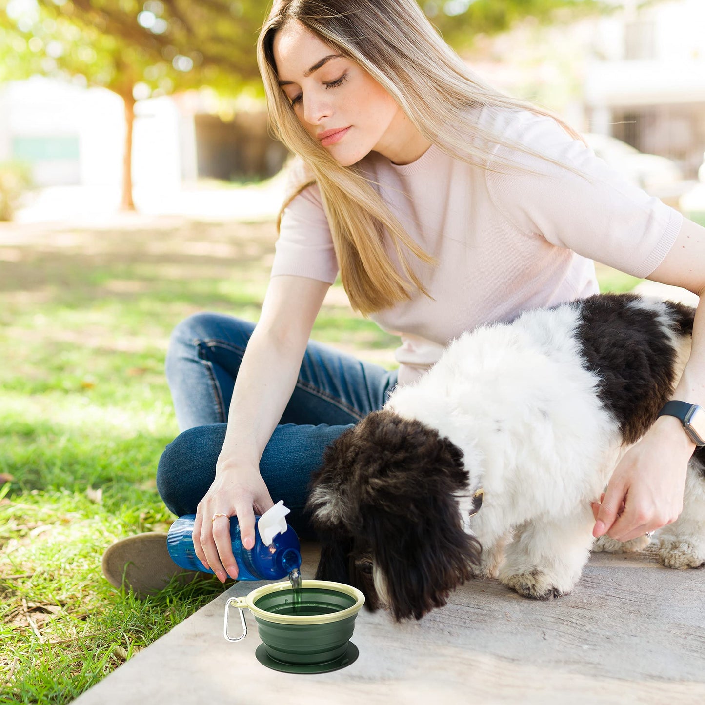 BARWO Collapsible Dog Bowl with Non Skid Suction Base -100% Pure Silicone Foldable Water Bowl, Portable Dog Bowl for Travel, Hiking & Camping 350mL 1 Piece