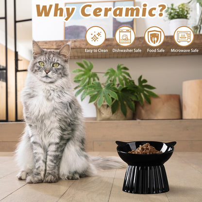 Wellbro Ceramic Raised Cat Bowl，Tilted Raised Bowl Anti Vomit for Indoor Cats Whisker Friendly Pet Feeder for Cats Puppies, Microwave and Dishwasher Safe (Black)