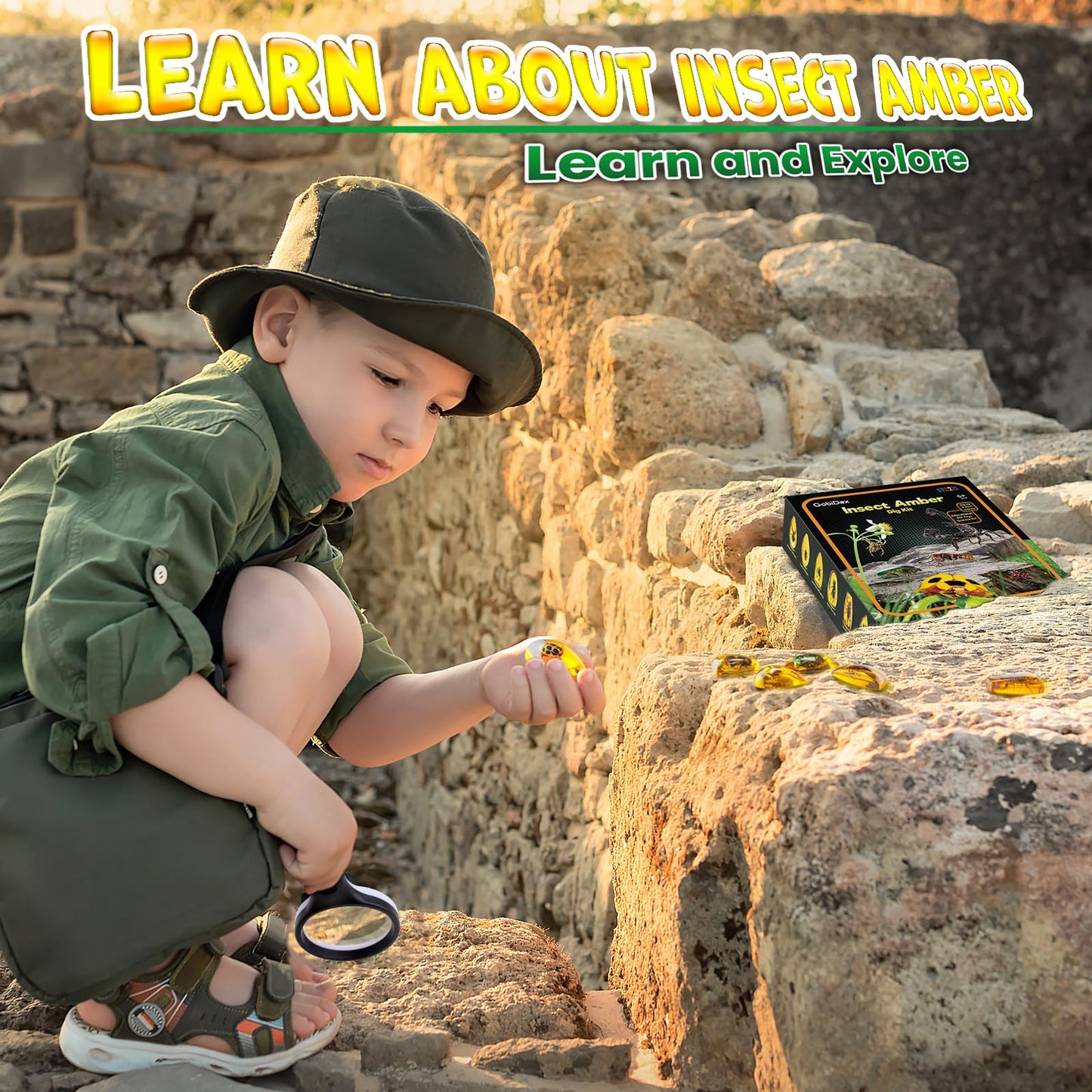 GobiDex Amber Dig Kit-Artificial Insect Resin, Excavate 6 Insects Specimens, STEM Geographic Educational Bugs Toys, Excavation Toys for Fun Bugs Party Favors, Science Kits for Kids Age 6-8 8-12