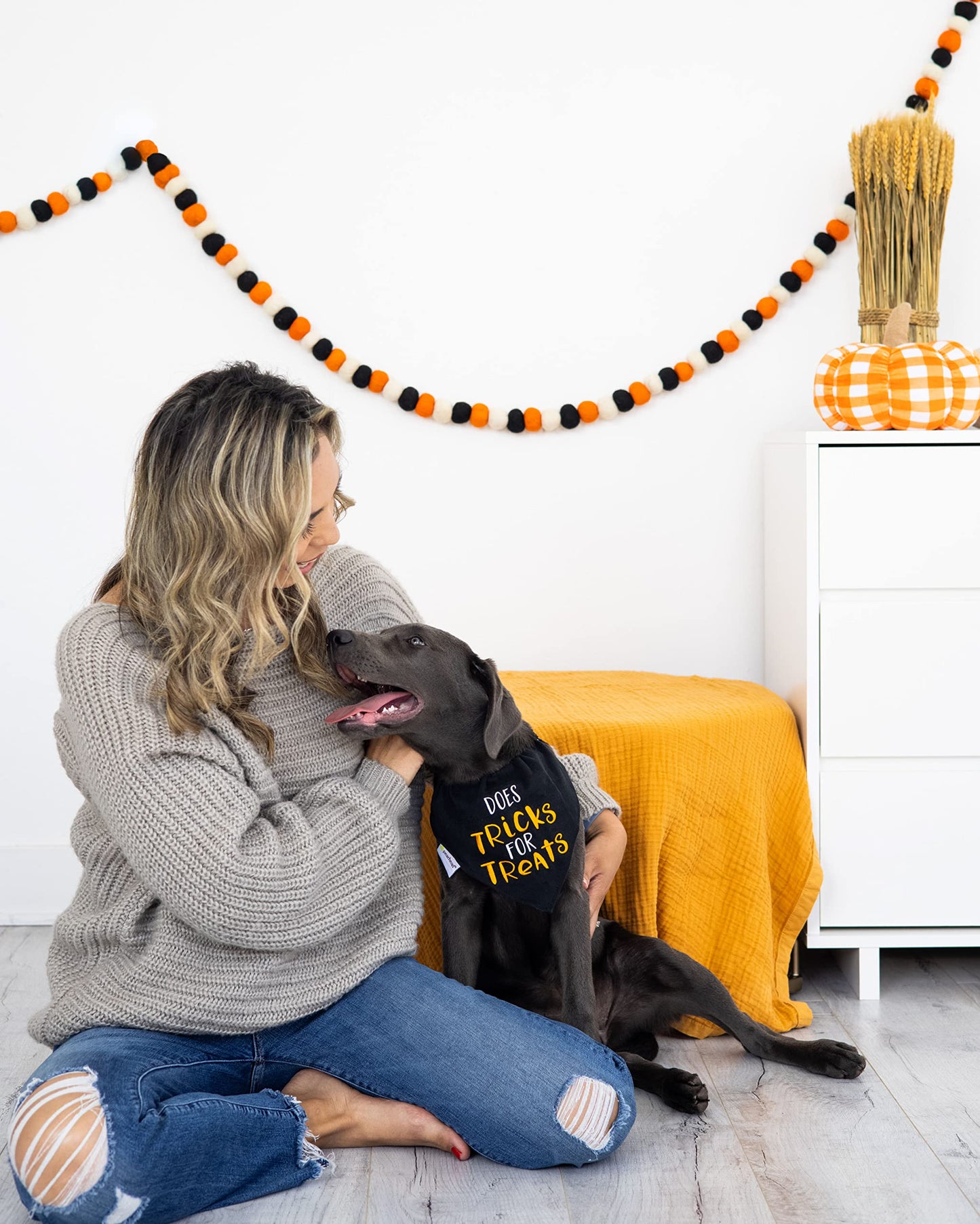 Pearhead Trick or Treat Dog Bandana, Black Halloween Pet Scarf, Slip-On Collar Accessory for Small Medium Pets, Cute Puppy Costume, Fall Seasonal Pet Apparel