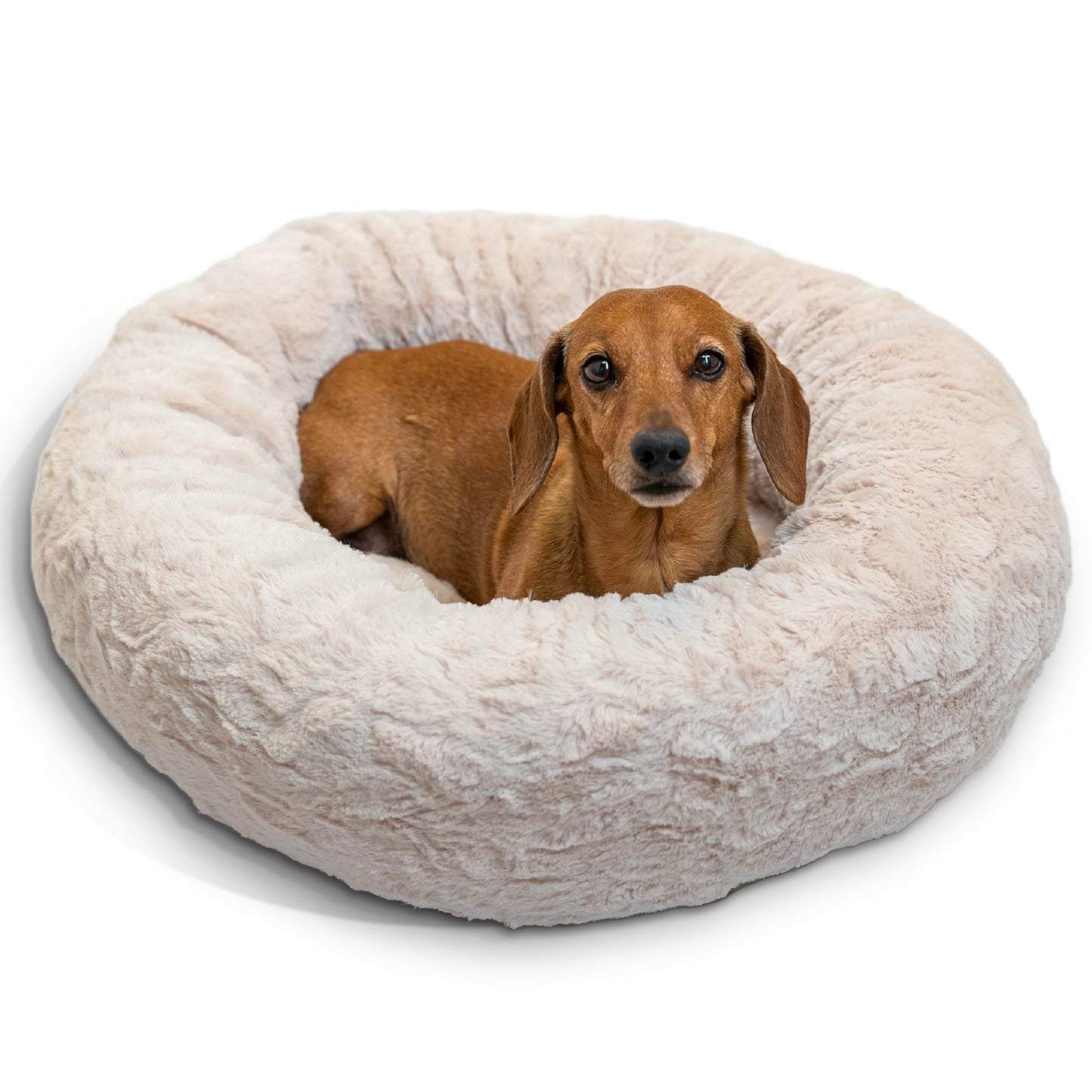 Best Friends by Sheri The Original Calming Donut Cat and Dog Bed in Lux Fur Oyster, Small 23x23