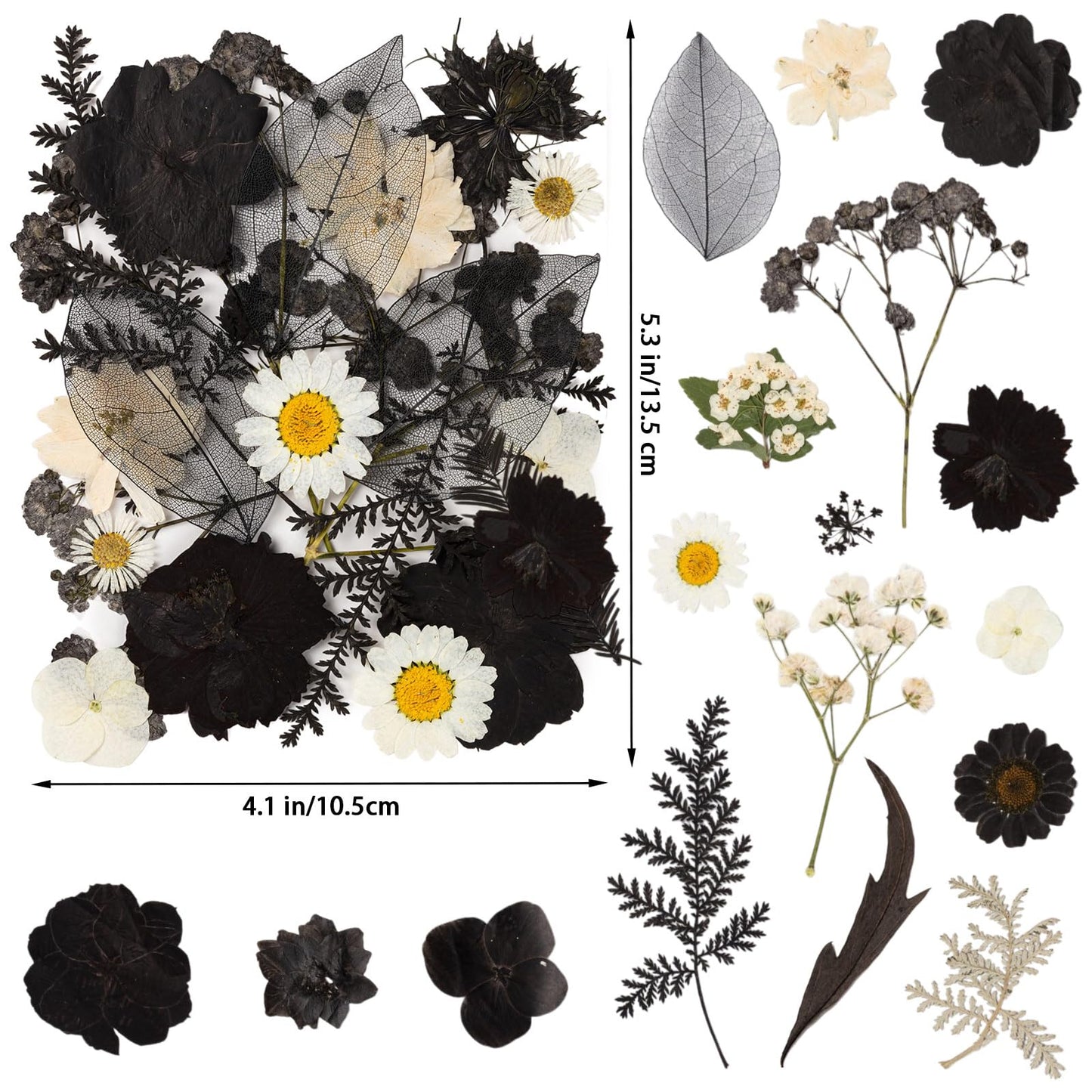 78 Pcs Black and White Dried Pressed Flowers with Tweezer, Halloween Themed Real Dried Flowers Leaves for DIY Crafts Resin Molds, Dried Flowers for Autumn Halloween Decorations
