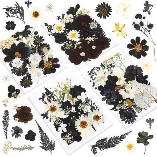 Augshy Black Dried Pressed Flowers, 120 Pcs Halloween Dried Flowers for Resin Molds Real Pressed Flowers for Crafts DIY Jewelry Molds, Scrapbooking, Candle, Soap Making