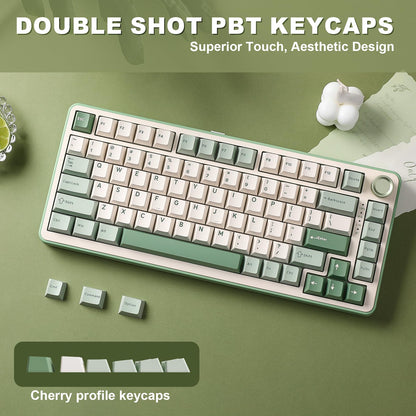 YUNZII B75 PRO Wireless Mechanical Keyboard,75% Gaming Keyboard Gasket Hot Swap Custom Keyboard with Knob,Pre-lubed Switches RGB,Bluetooth/Type-C/2.4G (Matcha Green, Milk Switch)
