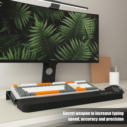Chyaidach Computer Keyboard Stand and Wrist Rest - Easy Comfortable Ergonomic Typing - Acrylic PC Keyboard Holder with Wrist Support - Fits All Size Keyboards - 16.9'' Wide (Matte Black)