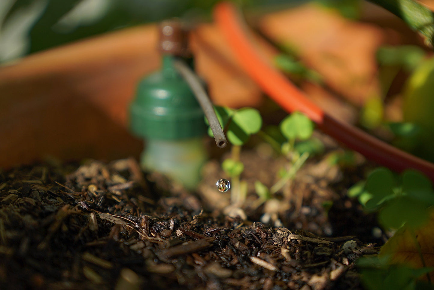 Blumat Drip Irrigation System - Tropf Medium Box Automatic Plant Watering Devices for Garden, Patio and Hanging Baskets - Garden Watering System Up to 12 Plants - Effortless Hydration - 12 Pack