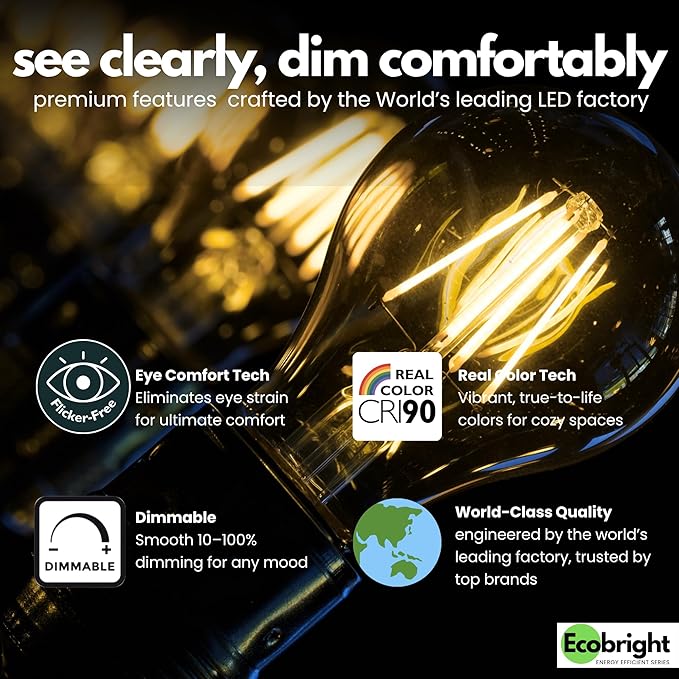 EcoBright 12PK Dimmable A19 LED Filament Bulb, 10W (100W Equivalent), E26 Base, 1100 Lumens, CRI90+, Flicker-Free Clear Glass, Energy Star Title 20, Warm White 2700K
