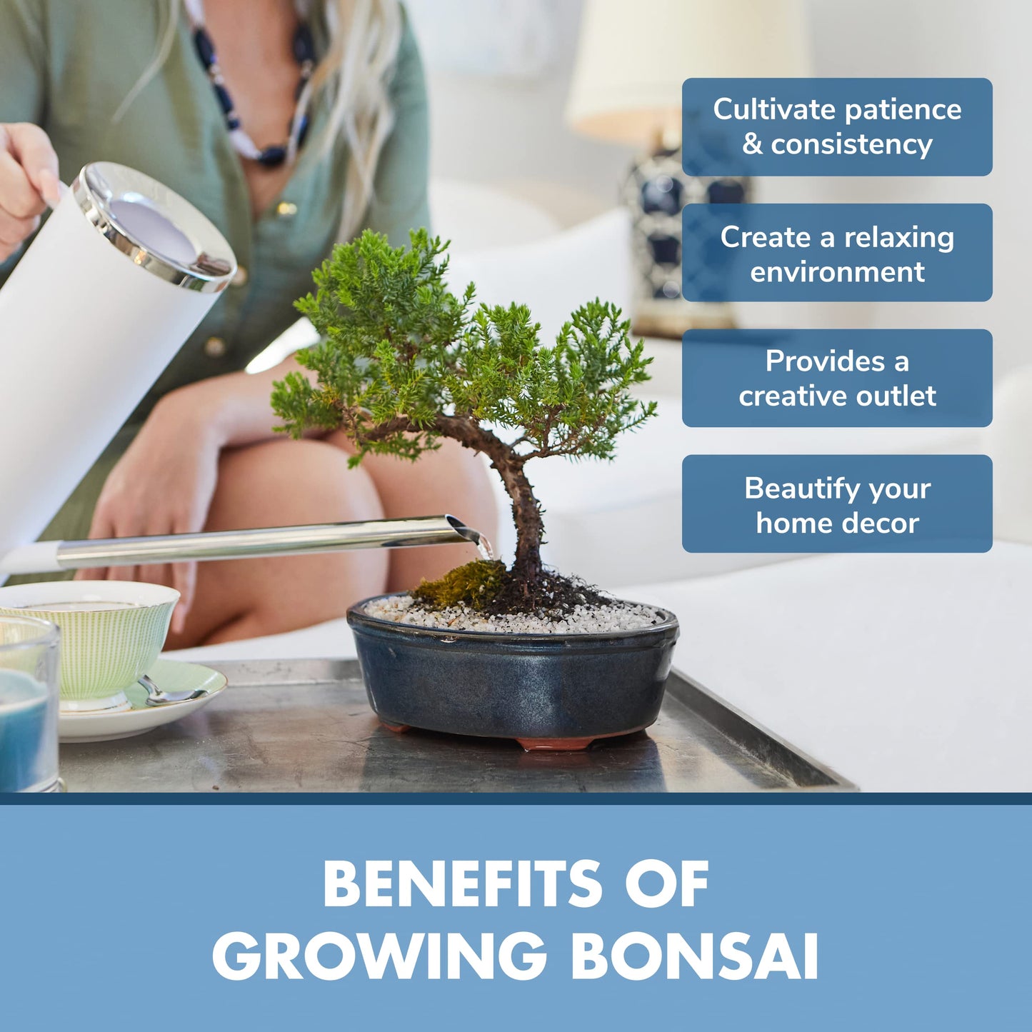 Garden Republic Bonsai Tree Kit - Grow 3 Mini Bonsai Trees, Indoor Plant Growing - Starter Kit with Seeds, Soil, Planters & Shears, Gardening Gifts for Women, Fathers Day Gardening Gifts