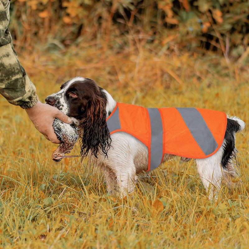 Orange High Visibility Safety Dog Vest, Hunting Jacket, Adjustable Soft Reflective Coat for Small Medium Large Dogs