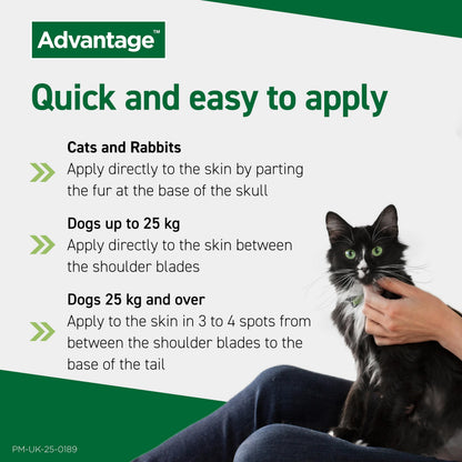 Advantage Spot On Flea Treatment For Large Cats and Rabbits Over 4kg (4 pipettes, 80mg), Kills Fleas Within 24 Hours, Prevents Further Infestation For Up To Four Weeks in Cats