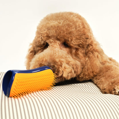 Tangle Teezer | Pet Teezer | Detangling and Dog Grooming Brush | Dry Brush or Dog Bath Brush | Navy & Orange