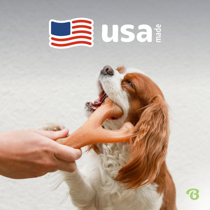 Benebone Indestructible Wishbone Dog Chew Toy for Aggressive Chewers, Long Lasting Tough Boredom Breaker for Dogs, Real Bacon Flavour, For Small Dogs, Made in the USA.
