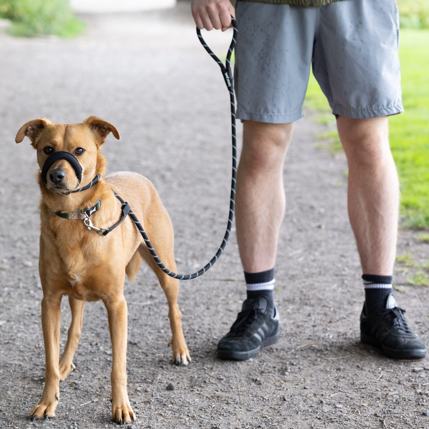Total Pet Figure of 8 Dog Lead - Anti Pull Stop Dogs Pulling - Rope Slip Leads with Padded Nose Support (Medium/Large) Black