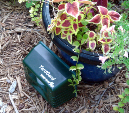 Bird-X Yard Gard, Electronic and Ultrasonic Animal Stopper Device with Motion-Sensor, Easy to Install, Covers up to 4,000 sq. ft., 15-25 kHz Frequency, 6.75" x 5.5" x 3.5"
