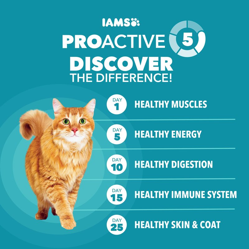 IAMS Proactive Health Dry Cat Food, Indoor Weight and Hairball Care Cat Food Dry Recipe, with Real Chicken in Every Bite, 7 lb. Bag