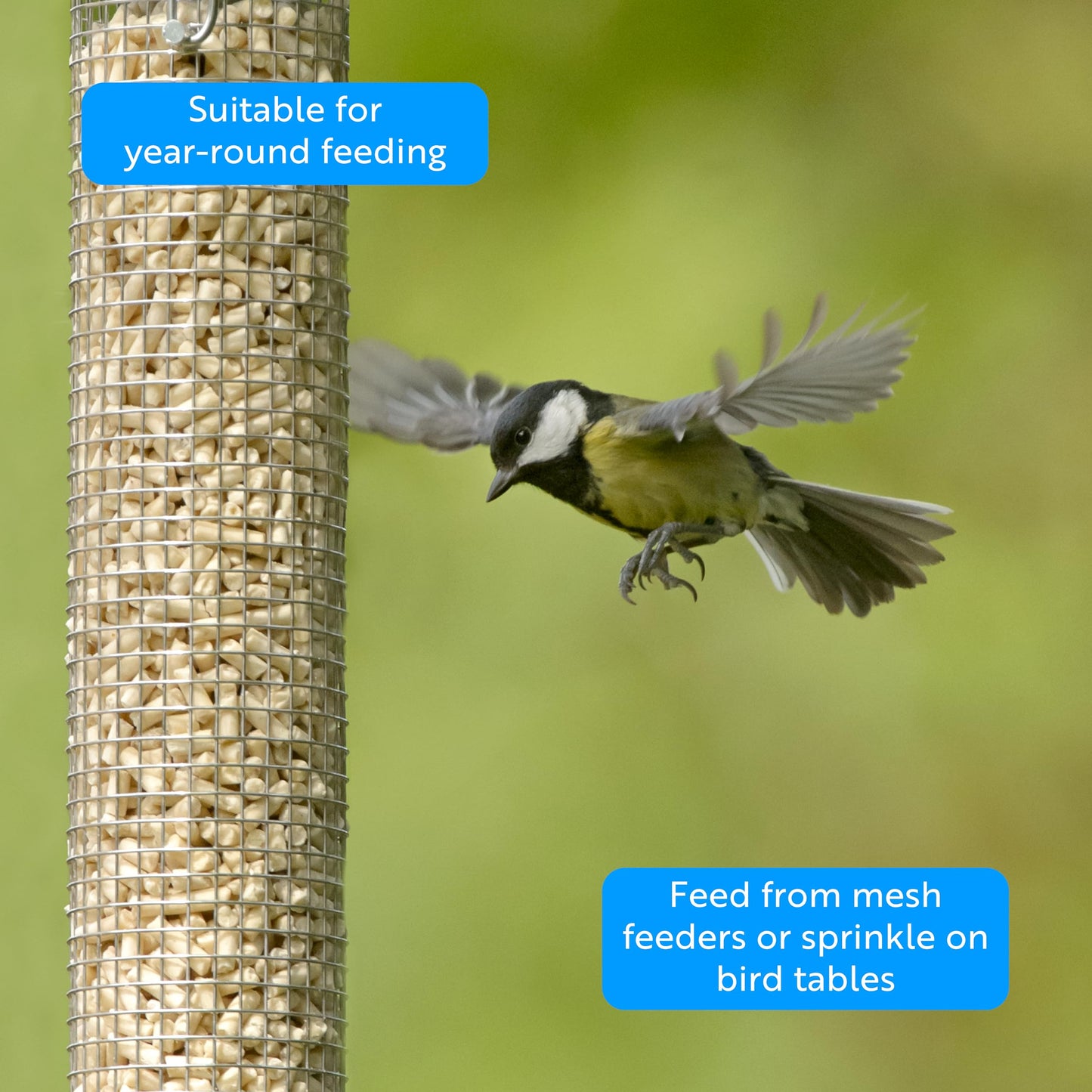 RSPB Buggy Nibble Treats, 550g, This Nibbles are like Hot Cakes to Wild Birds, A Delicacy that Few Birds Can Resist, Made with Mealworms, Premium UK Suet & Cereal. Supporting the RSPB