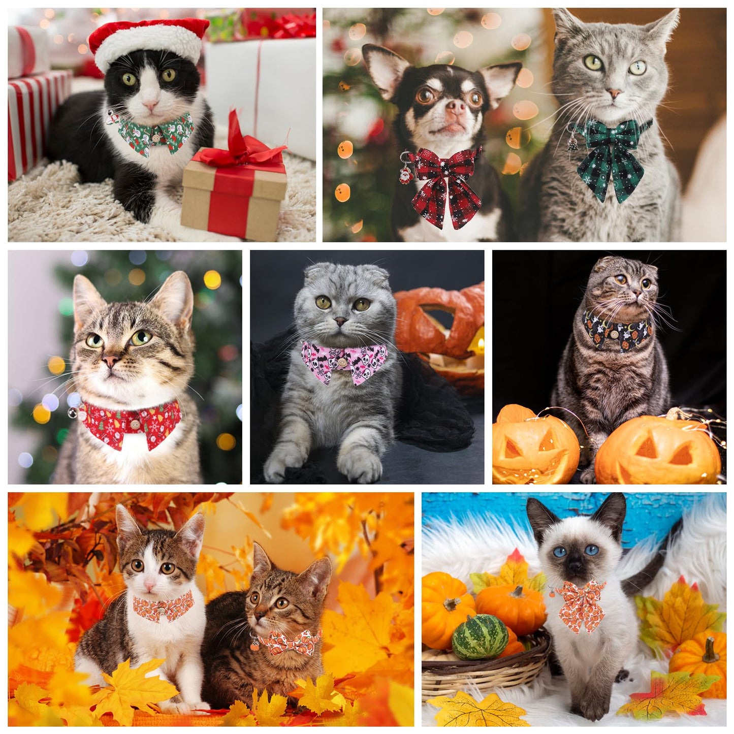 DILLYBUD Halloween Cat Collar with Bells & Cute Pendant - Breakaway, Adjustable, 2-Pack Kitten Collar Safety for Female & Male Pets