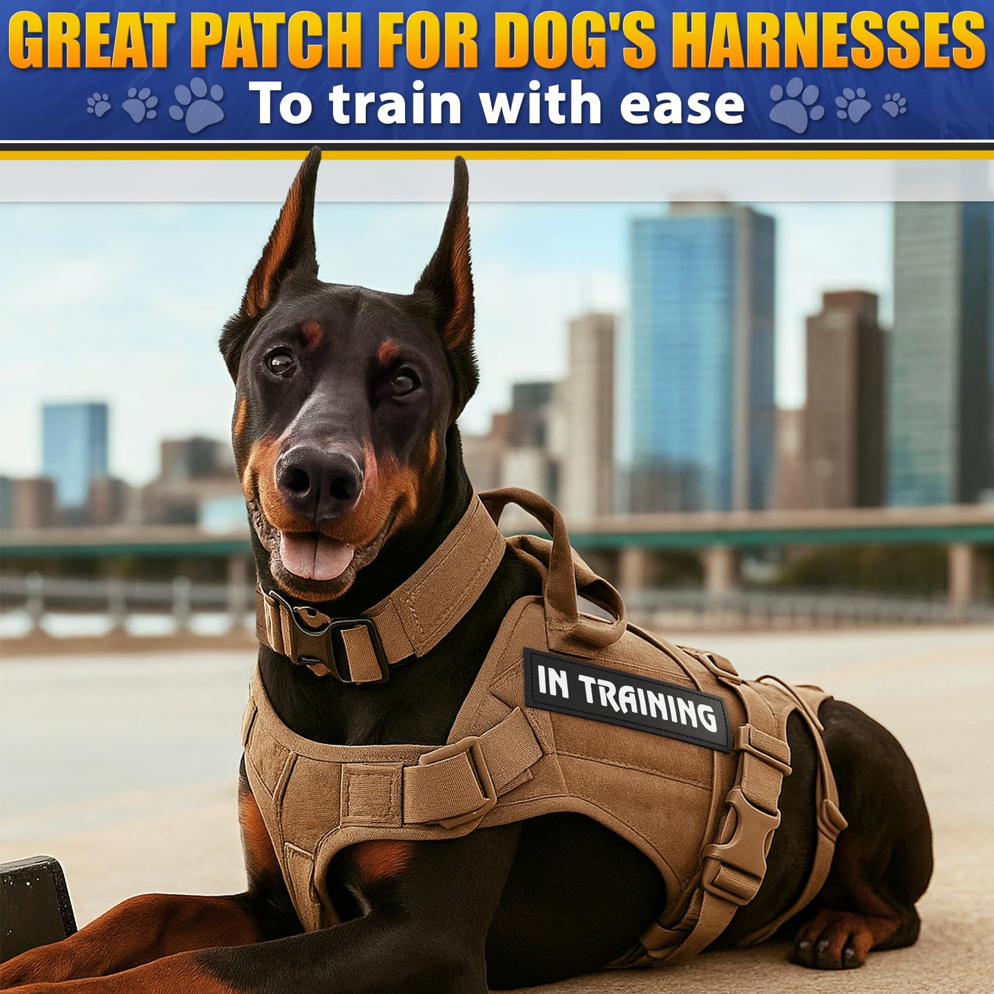 6Pcs Service Dog Patches 6.2x1.9'' - Reflective Do Not Pet Patch & In Training Service Dog Patch Set with Variable Text, Secure Attachment with Hook & Loop Fasteners, Security & Therapy Animal Patches