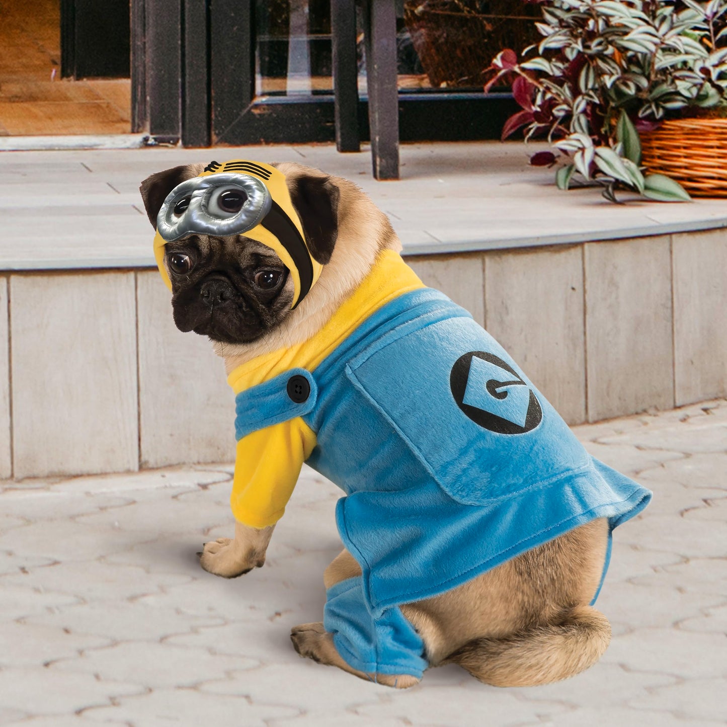 Despicable Me: Minion Pet Costume for For Dogs or Cats by Rubies, Medium