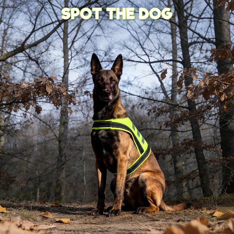 DENTRUN Dog Reflective Vest, High Visibility Safety Vest for Small Medium Large Dogs, Easy-On Adjustable Reflective Jacket for Outdoor Hunting Night Walking Jogging, Bright Green