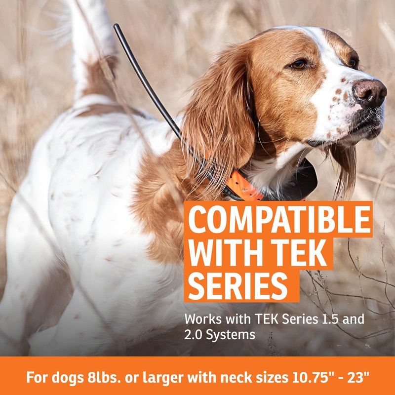 SportDOG TEK Series 2.0 GPS Tracking System Add-A-Dog Collar - Waterproof Receiver Collar with Multiple Correction Modes - Rechargeable with Long-Lasting Battery