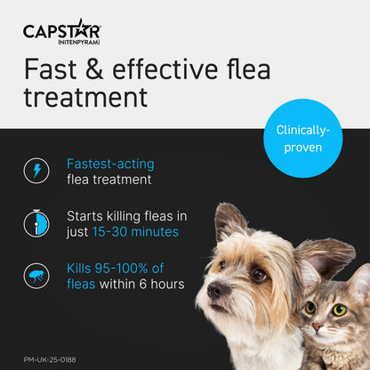 Capstar Flea Tablets for Dogs and Cats from 1kg to 11kg, Oral Medication for Flea Treatment in Small Dogs and Cats, Contains 6x 11.4mg Nitenpyram Flea Tablet