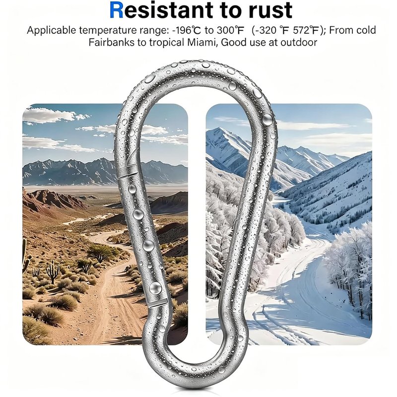 304 Stainless Steel Carabiner Clips, 【NO Rust】 1360lbs Heavy Duty Carabiners, 2.36 inch D-Ring Snap Hook Keychain Spring Clips for Gym, Pet leashes (8PCS 304 Stainless Steel Clips)