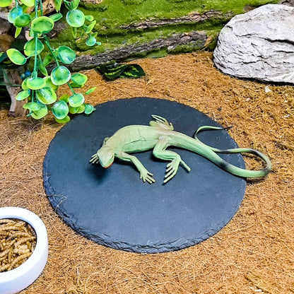 Tfwadmx Reptile Basking Platform,7.8IN Tortoise Rock Slate Plate Feeding Food Bowl Dish Turtle Bathing Resting Terrace for Lizard Bearded Dragon Chameleon Gecko Snake Frog Newt