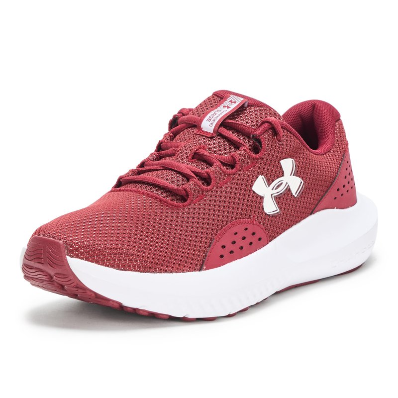 Under Armour Men's Charged Surge 4, (625) Cardinal/Cardinal/White, 17, US