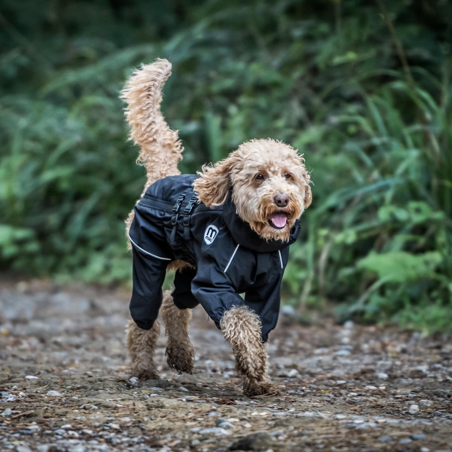 Mikki Doodles Dog Raincoat, Waterproof, Windproof, Silky Lining, Less Friction Means Less Knots & Tangles, Size Large c