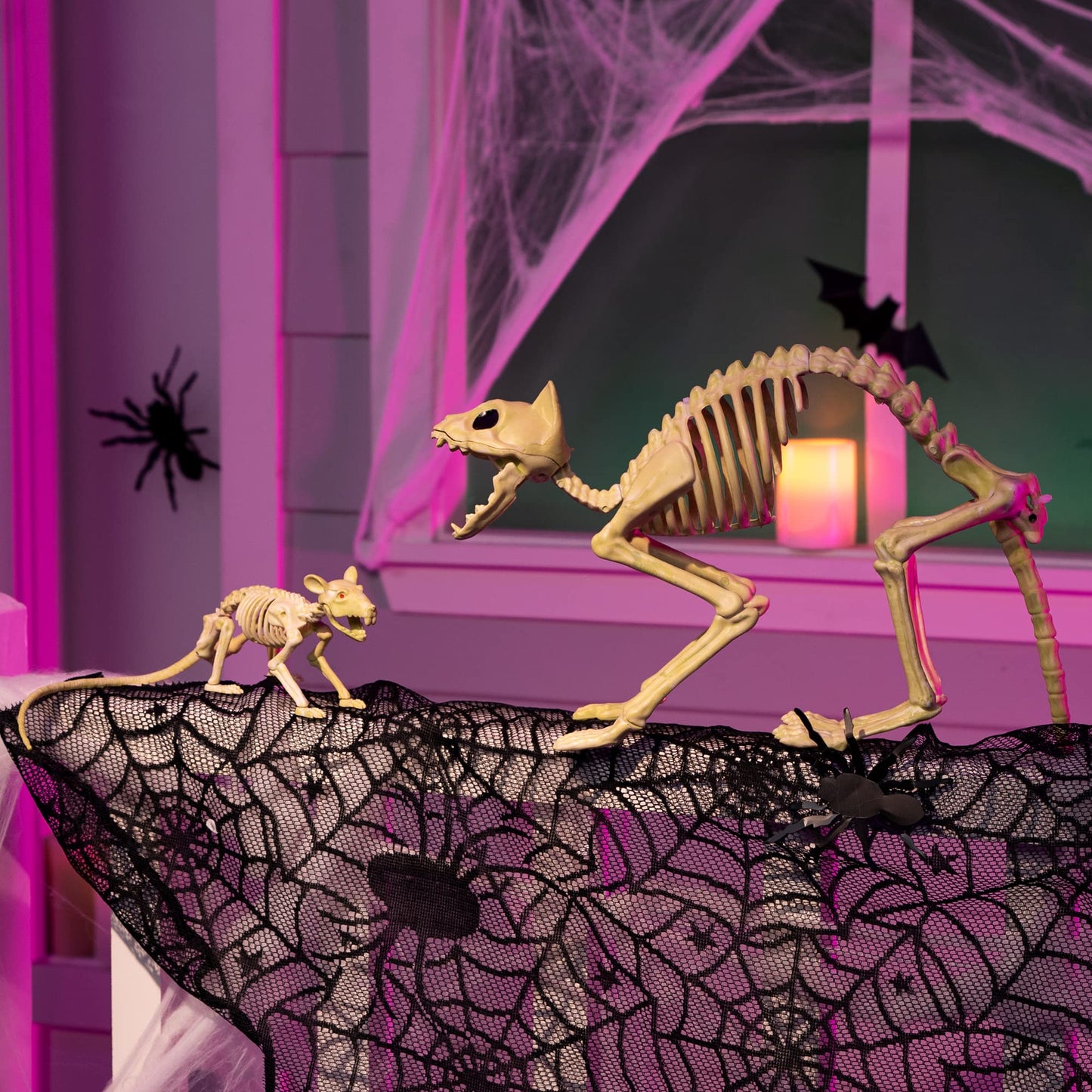 Skeleton Cat and Rat Skeleton for Halloween Decorations, Skeleton Animal Yard Decor and Reaper Bones Animals