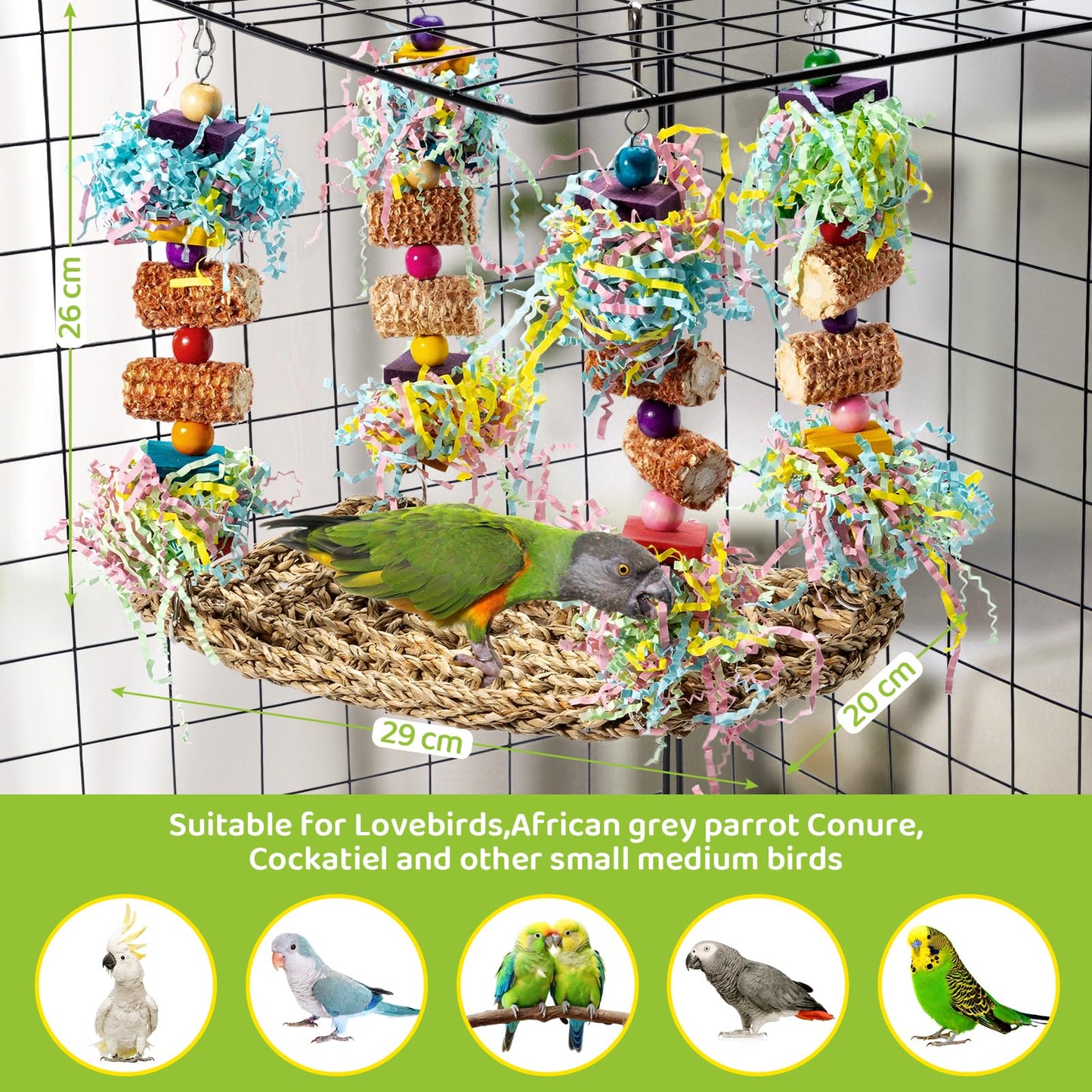 GingerUPer Parrot Toys, Cockatiel toys, Budgie toys, Bird Swing Chewing Toy for Conures, Cockatiel, African Grey Parrot, Cockatoos (Red)