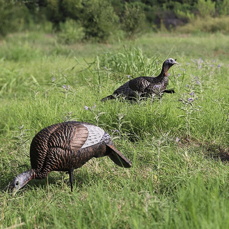 Ultra Realistic Turkey Decoy - Lightweight Plastic Thunder Chicken for Outdoor Hunting | Lifelike Feeding Hen