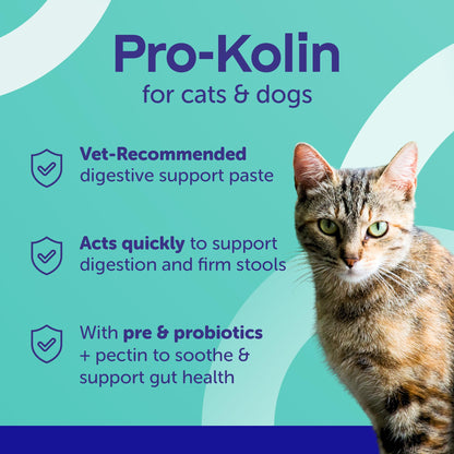 Protexin Pro-Kolin Digestive Support Paste for Cats & Dogs to Firm Poop, 15ml Syringe, Beef Flavour