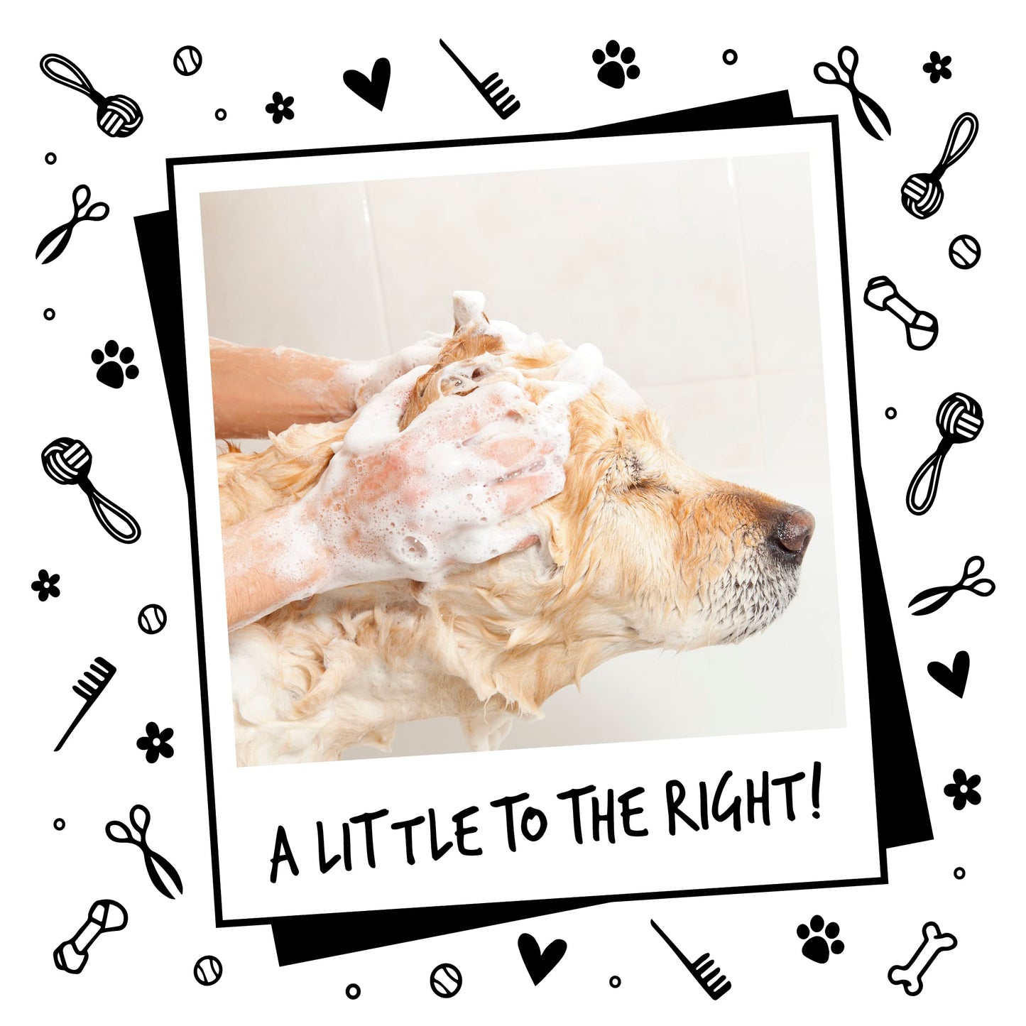 BUGALUGS Dog Shampoo with a Distinctive One in a million Fragrance - Natural dog grooming shampoo products for smelly dogs best puppy professional groom shampoo & conditioner (1x500ml)