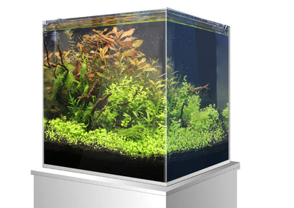 Amtra Nanoscaping - Aquarium Tank 15 Liters - Extra Clear Glass Case 25x25x25 cm - Tank for Goldfish or as a Turtle Tank for Water Turtles with Shock Absorbing Mat Included